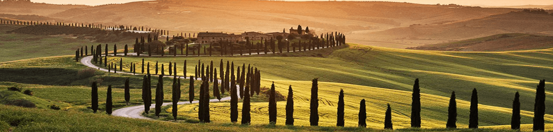 Recent Blogs - background banner